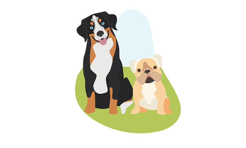 2 dogs